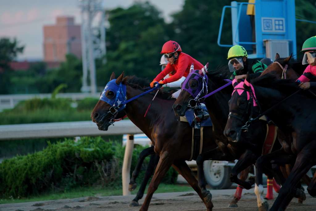 園田競馬　先行争い