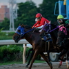 園田競馬　先行争い