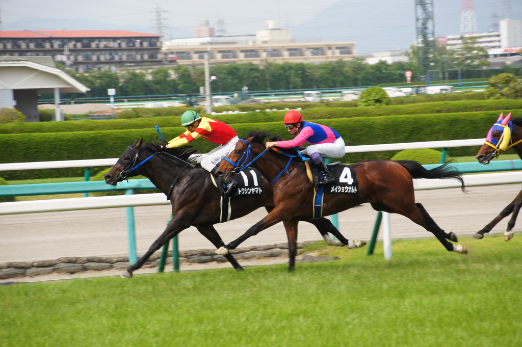 6月8日阪神競馬場