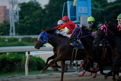 園田競馬　先行争い