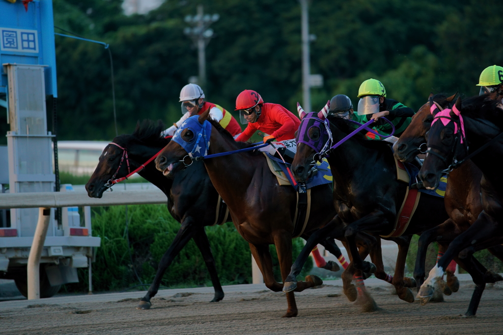 園田競馬　先行争い