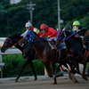 園田競馬　先行争い