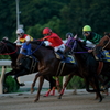 園田競馬　先行争い