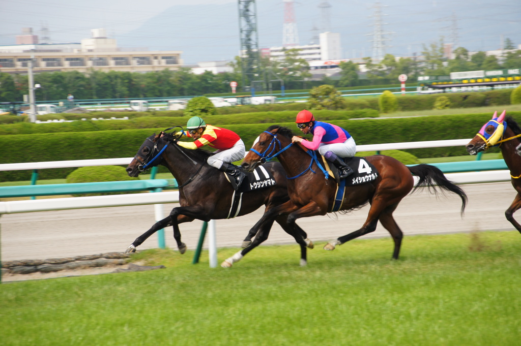 6月8日阪神競馬場