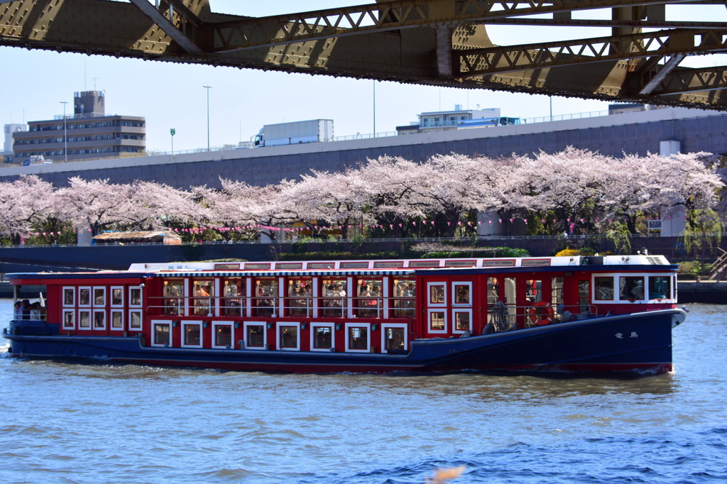 船でお花見を