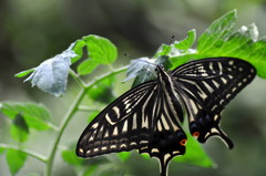 キレイに撮ってね♪