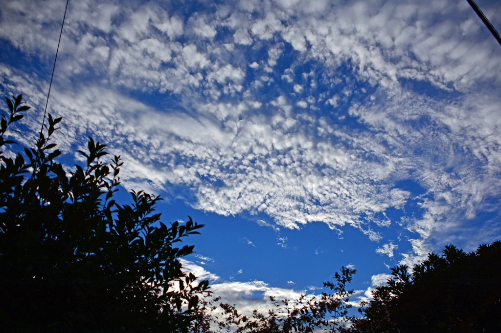 夕暮れの空