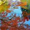 紅色のゆらぎ