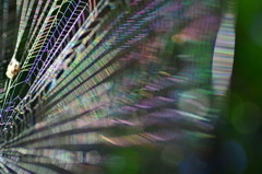 光のファンタジー ２♪