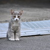 はじめまして=^_^=