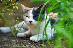 私のお鼻は♥よ