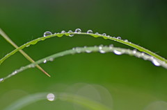 雨上がり