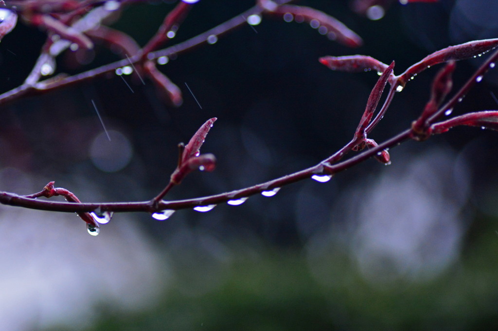 一雨ごとに