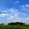 見上げれば秋の空