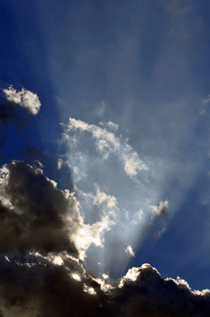 つかの間の神秘