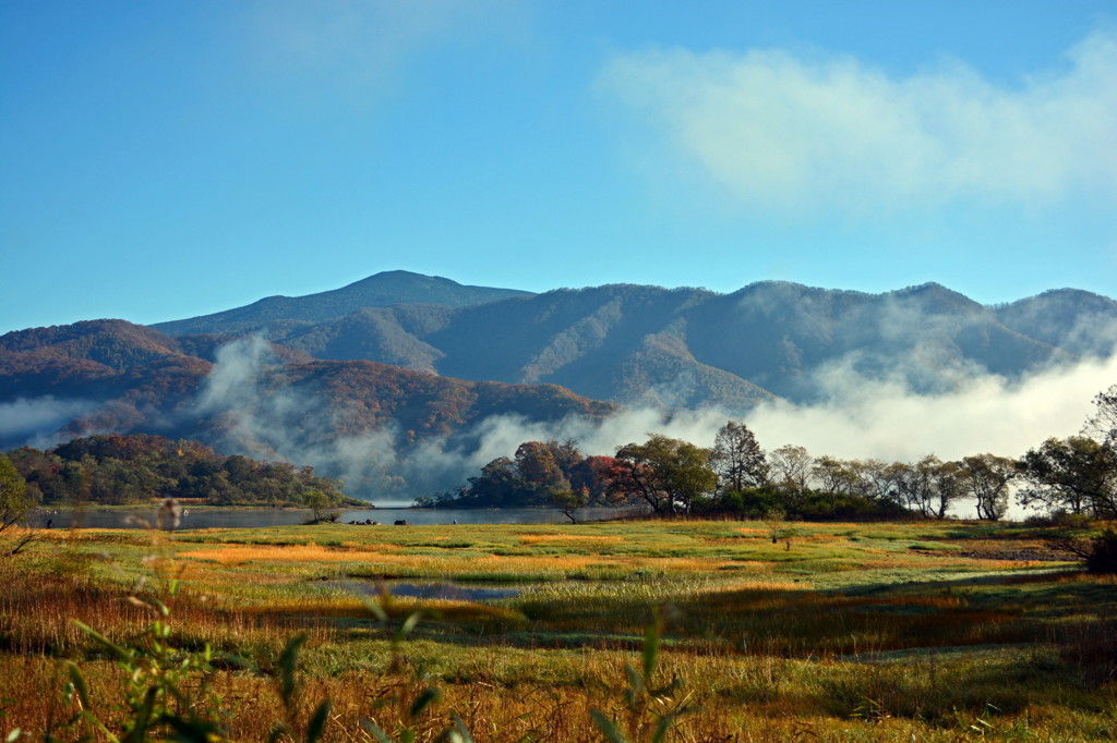 朝靄に包まれて