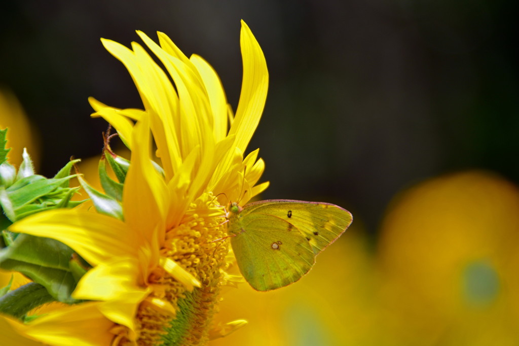 ここはどうかな？