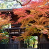 山門の彩り