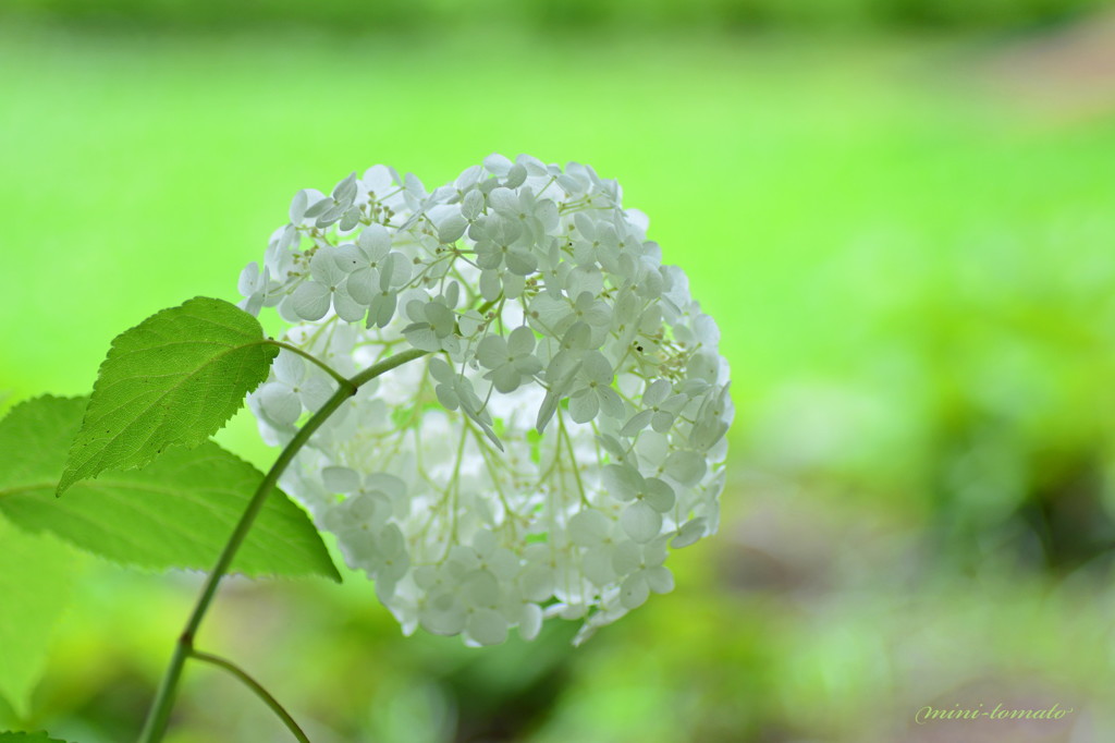 そっと・・うしろから
