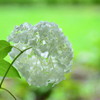 そっと・・うしろから
