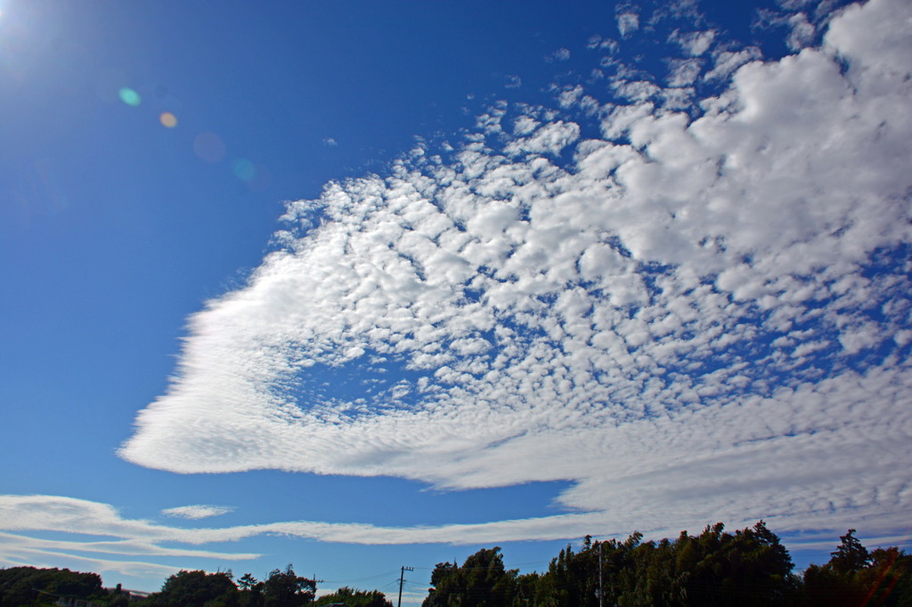 秋の空