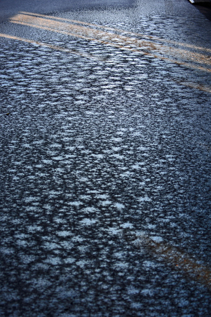 初雪の朝