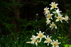 静けさのなかで