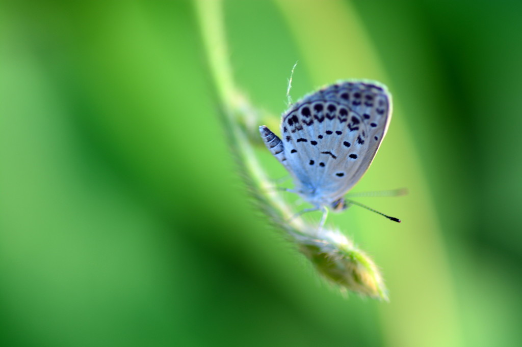 落ちないように！