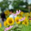 ちょっぴり秋を感じながら♪