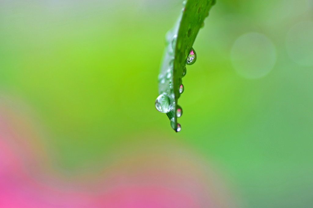 雨粒の調べ　2