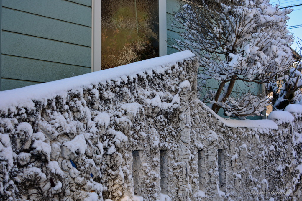 雪の化粧
