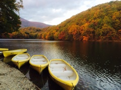 紅葉の湖