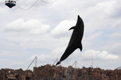 名古屋港水族館