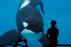 名古屋港水族館