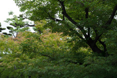 IMG_1914