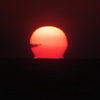 塩屋海岸のだるま夕日