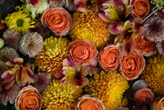 花手水
