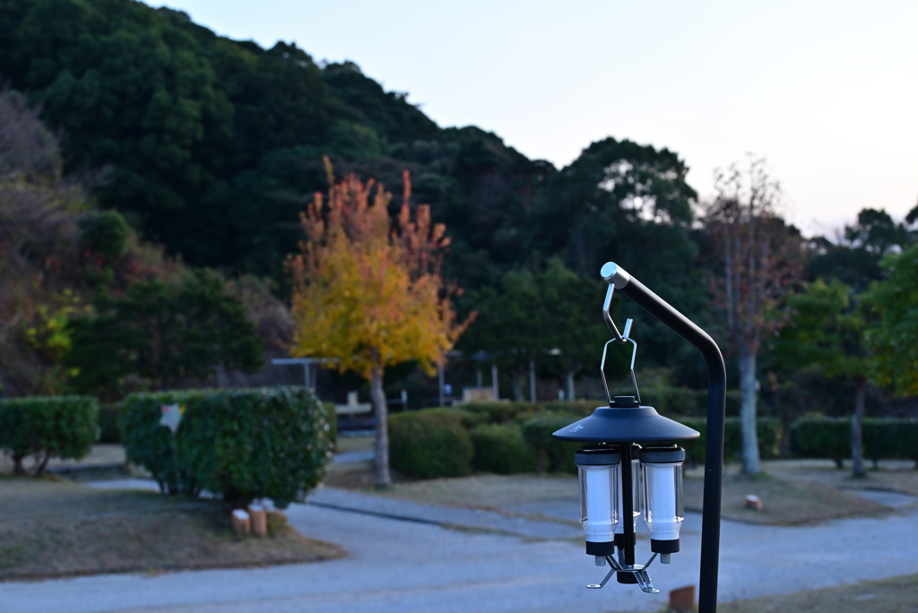 夜を待つ