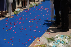 Congratulation！！