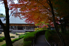 紅葉