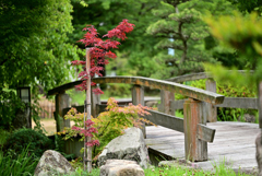 橋