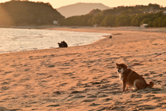 夕暮れの浜辺