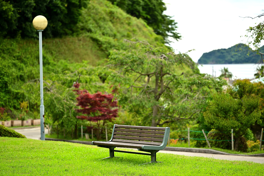 ベンチ
