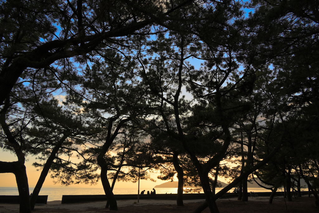 夕暮れ