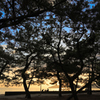 夕暮れ