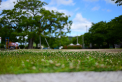 昼下がりの公園