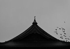 飛び立つ