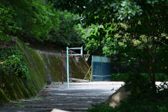公園