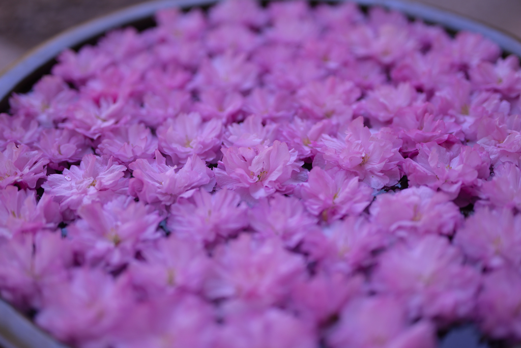 花手水