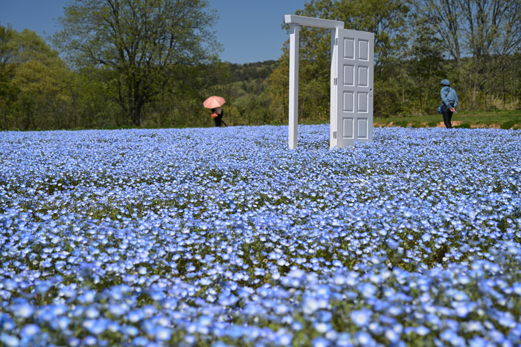 Door
